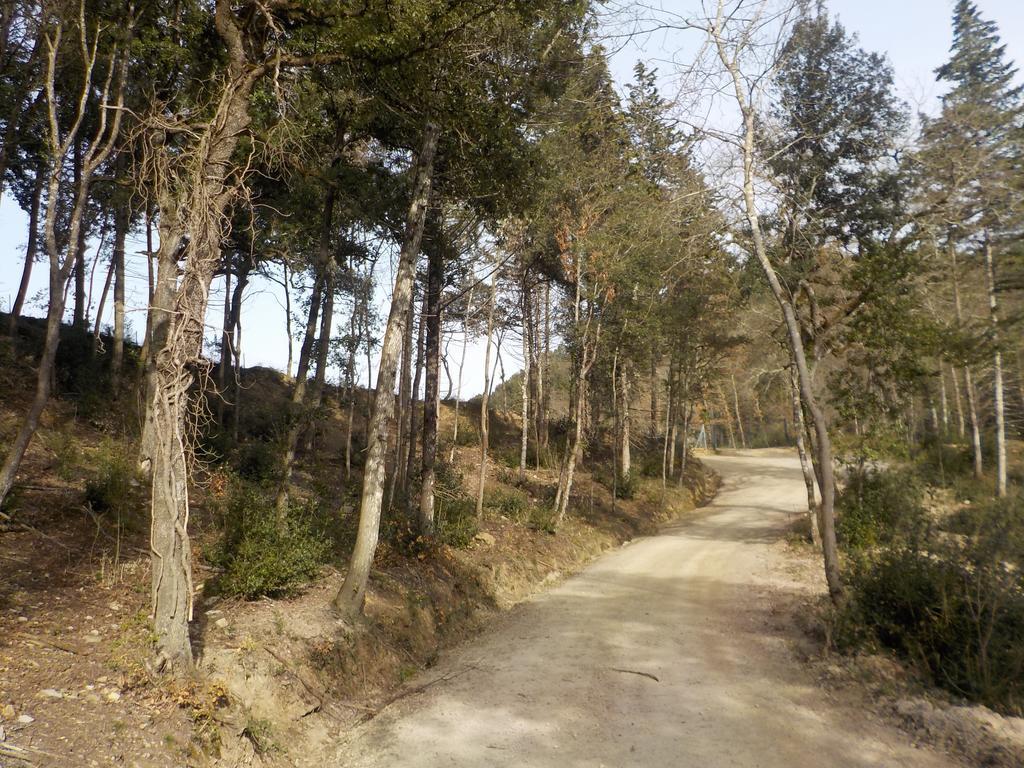 Ormanni Nel Chianti Classico 바르베리노 디 발 델사 외부 사진